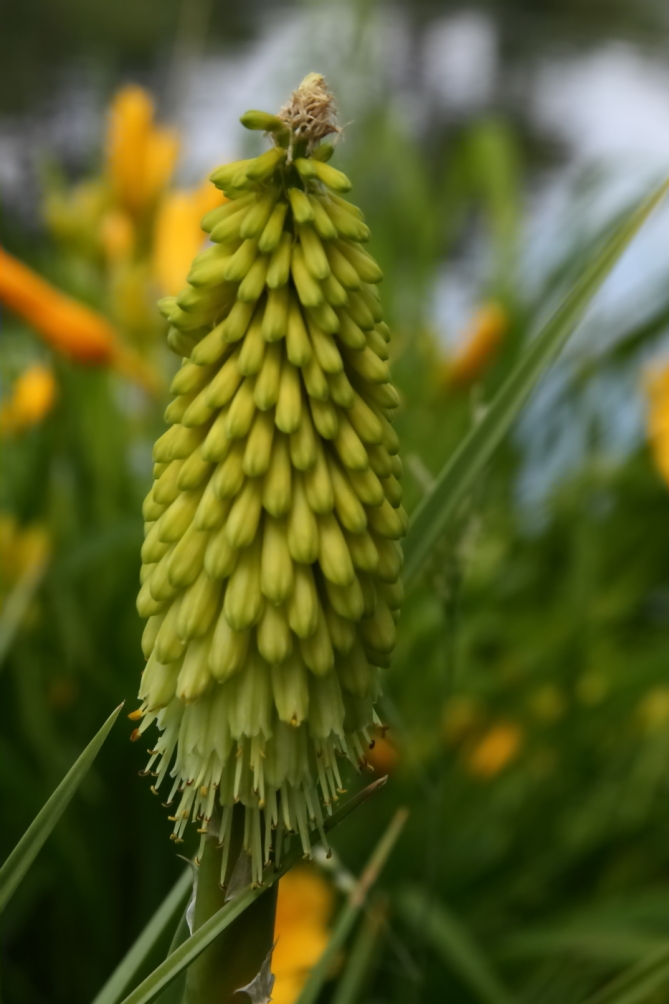 2011 06 13 IMG 33051